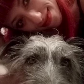 thumbnail petsitter București sau bonă pentru animale pentru câini pisici