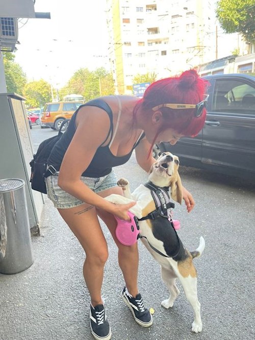 Alexandra- petsitter București sau Bonă pentru animale pentru câini pisici
