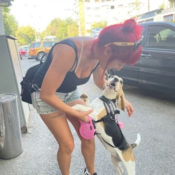 thumbnail petsitter București sau bonă pentru animale pentru câini pisici