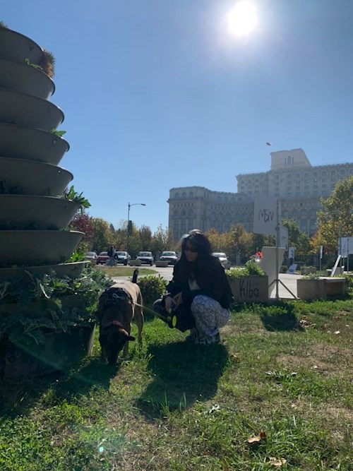 Iancu- petsitter București sau Bonă pentru animale pentru câini pisici