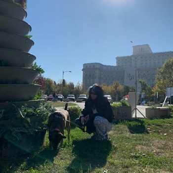 thumbnail petsitter București sau bonă pentru animale pentru câini pisici