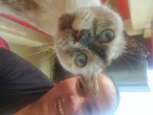 Sabadîș- petsitter Constanța or Pet nanny for dogs cats