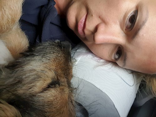 Sabadîș- petsitter Constanța or Pet nanny for dogs cats