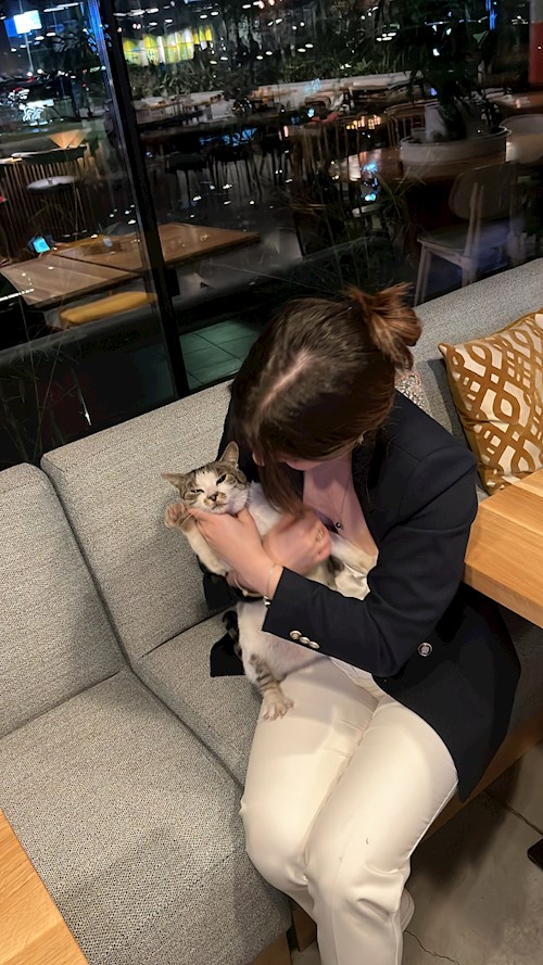 Sarah- petsitter București or Pet nanny for cats 