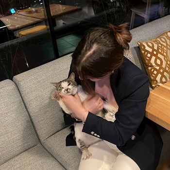 thumbnail petsitter București sau bonă pentru animale pentru pisici