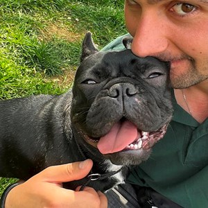 petsitter Dobroești sau Bonă pentru animale pentru Câini Pisici 
