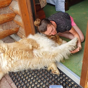  thumbnail petsitter București or pet nanny for dogs cats 