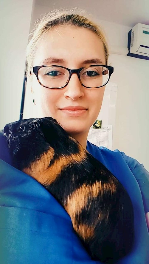 Ana- petsitter București vagy Állat szitter a kutyák cicák 