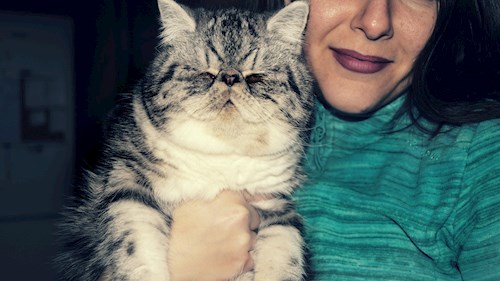 Ioana- petsitter Florești sau Bonă pentru animale pentru pisici