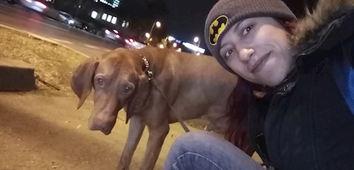 Alexandra- petsitter București sau Bonă pentru animale pentru câini pisici