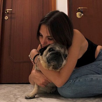 thumbnail petsitter București sau bonă pentru animale pentru câini pisici