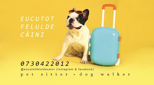 Juni- petsitter Timișoara sau Bonă pentru animale pentru câini pisici