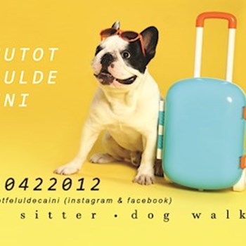 thumbnail petsitter Timișoara sau bonă pentru animale pentru câini pisici