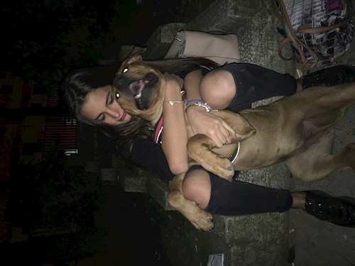 Valeria- petsitter București sau Bonă pentru animale pentru câini pisici