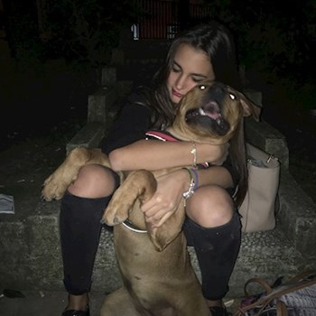 thumbnail petsitter București sau bonă pentru animale pentru câini pisici