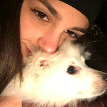 thumbnail petsitter București sau bonă pentru animale pentru câini pisici