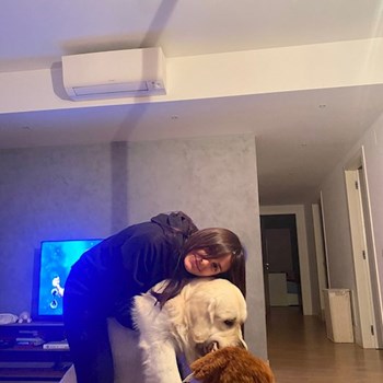 thumbnail petsitter București sau bonă pentru animale pentru câini pisici