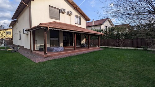 Cristina- petsitter Voluntari sau Bonă pentru animale pentru câini pisici