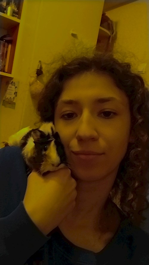 Groza- petsitter Cluj-Napoca vagy Állat szitter a kutyák cicák