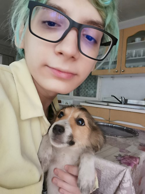 Ellie- petsitter București sau Bonă pentru animale pentru câini pisici 