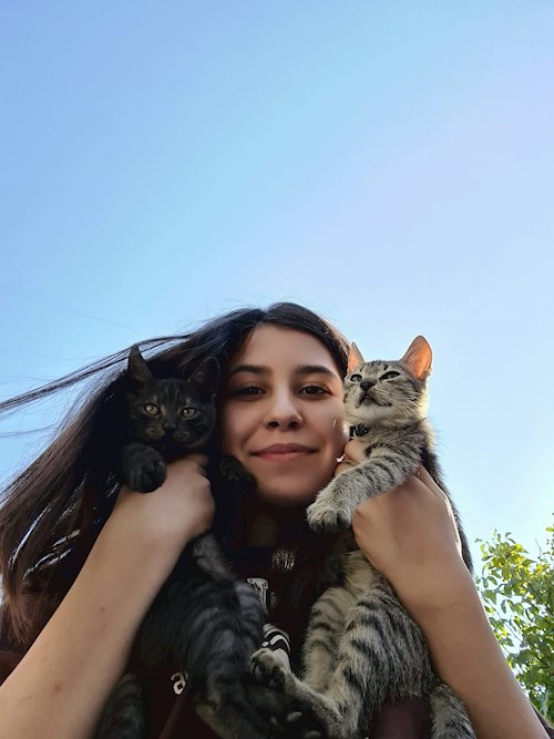 Handrea- petsitter Iași or Pet nanny for dogs cats 