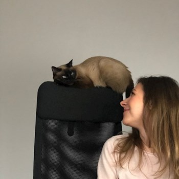 thumbnail petsitter București sau bonă pentru animale pentru câini pisici