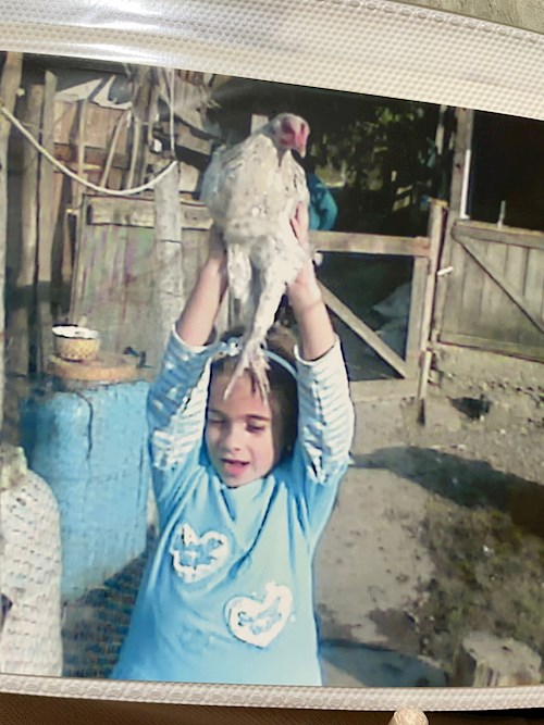 Iuoraș- petsitter Cluj-Napoca sau Bonă pentru animale pentru câini pisici