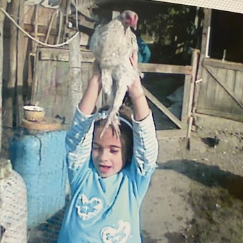 thumbnail petsitter Cluj-Napoca sau bonă pentru animale pentru câini pisici