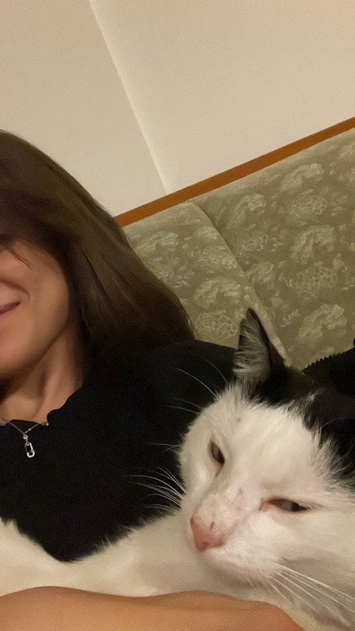 Iuoraș- petsitter Cluj-Napoca sau Bonă pentru animale pentru câini pisici