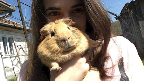 Iuoraș- petsitter Cluj-Napoca sau Bonă pentru animale pentru câini pisici