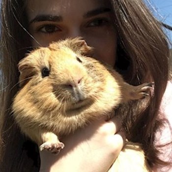 thumbnail petsitter Cluj-Napoca sau bonă pentru animale pentru câini pisici