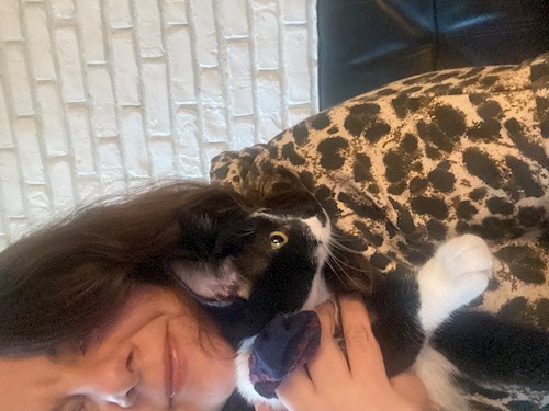 Georgiana- petsitter București or Pet nanny for dogs cats 