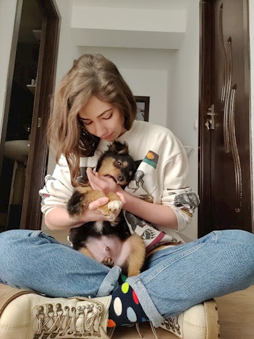Emma- petsitter Cluj-Napoca vagy Állat szitter a kutyák cicák