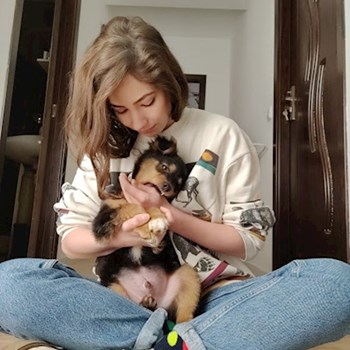 thumbnail petsitter Cluj-Napoca sau bonă pentru animale pentru câini pisici