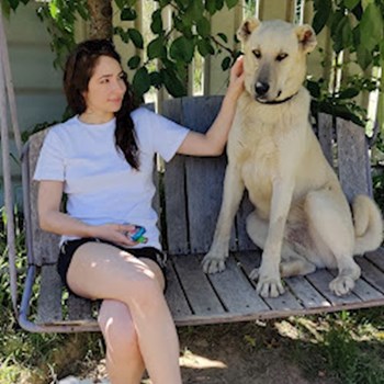 thumbnail petsitter Cluj-Napoca sau bonă pentru animale pentru câini pisici