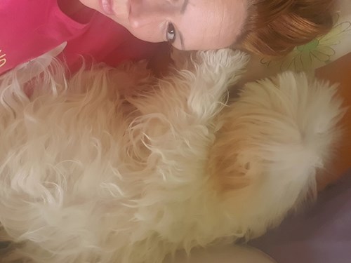 Sabadîș- petsitter Constanța or Pet nanny for dogs cats