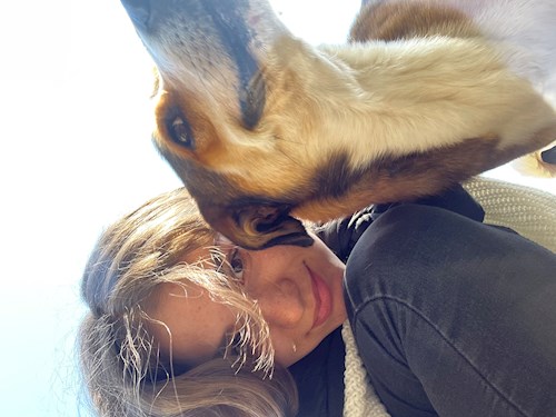 Andreea- petsitter Cluj-Napoca vagy Állat szitter a kutyák cicák 