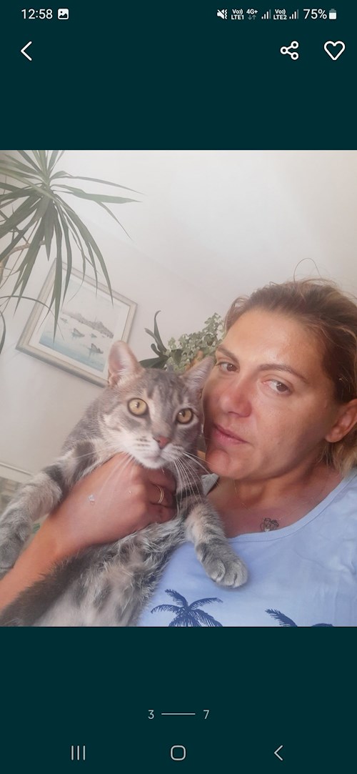 Diana- petsitter București or Pet nanny for dogs cats 
