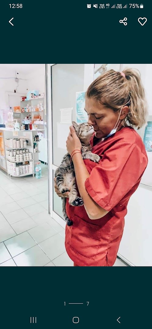 Diana- petsitter București or Pet nanny for dogs cats