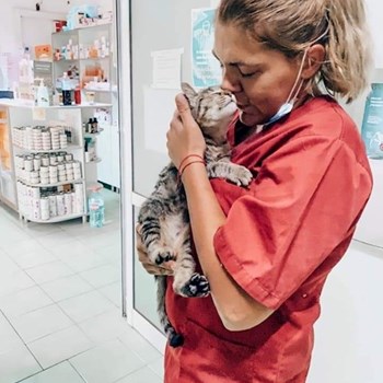 thumbnail petsitter București or pet nanny for dogs cats