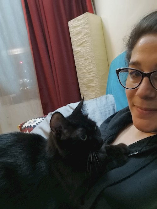 Charlotte- petsitter București sau Bonă pentru animale pentru pisici