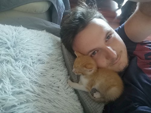 Stefan- petsitter Iași or Pet nanny for cats 