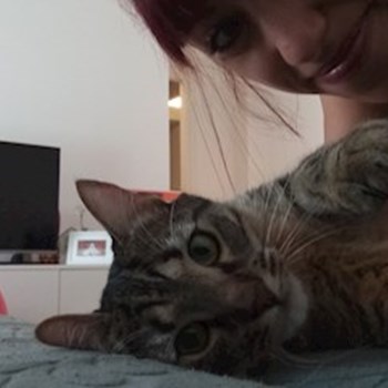 thumbnail petsitter București sau bonă pentru animale pentru câini pisici