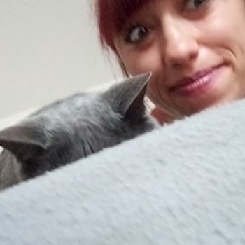 thumbnail petsitter București sau bonă pentru animale pentru câini pisici