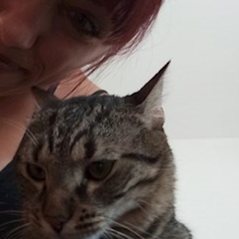 thumbnail petsitter București sau bonă pentru animale pentru câini pisici