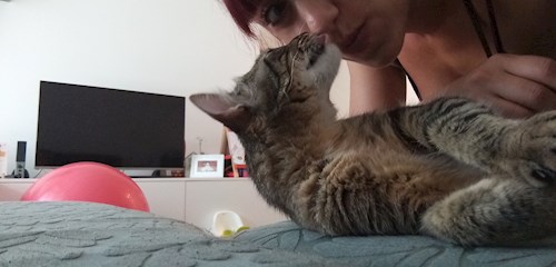 Alexandra- petsitter București sau Bonă pentru animale pentru câini pisici