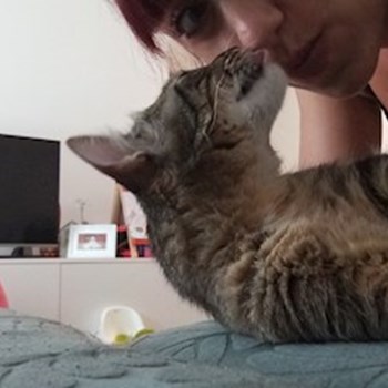 thumbnail petsitter București sau bonă pentru animale pentru câini pisici