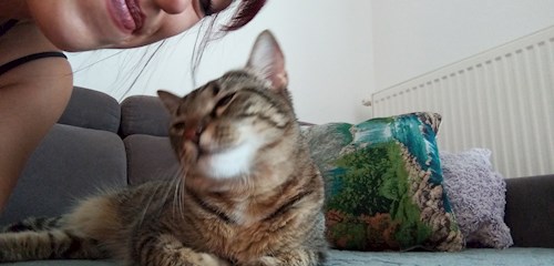 Alexandra- petsitter București sau Bonă pentru animale pentru câini pisici