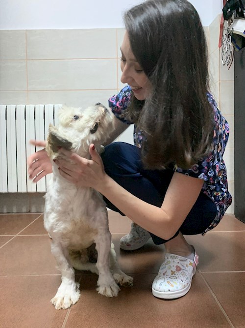 Maria- petsitter București or Pet nanny for dogs cats 