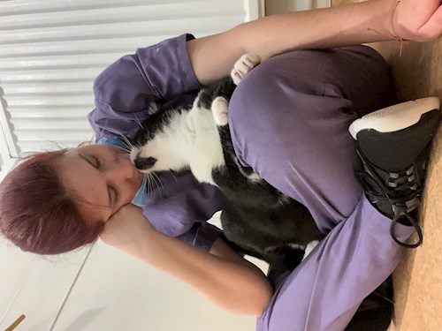 Alina- petsitter București or Pet nanny for dogs cats